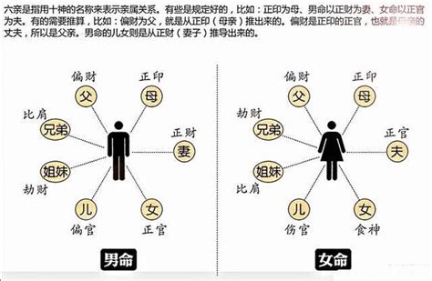 天干食神|八字十神详解实用表格 – 十神详解大全